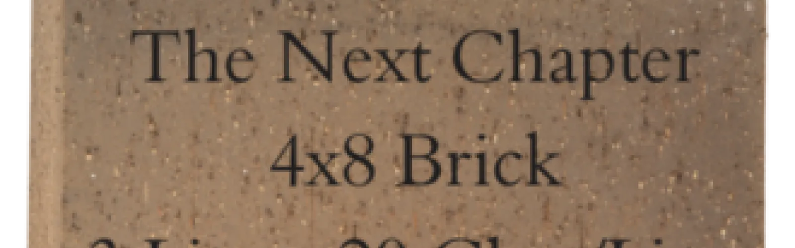 Support the library by buying a brick!